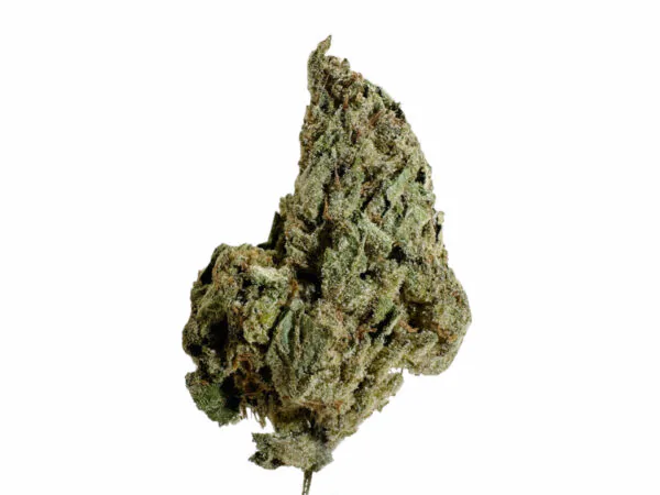 Gelato King
