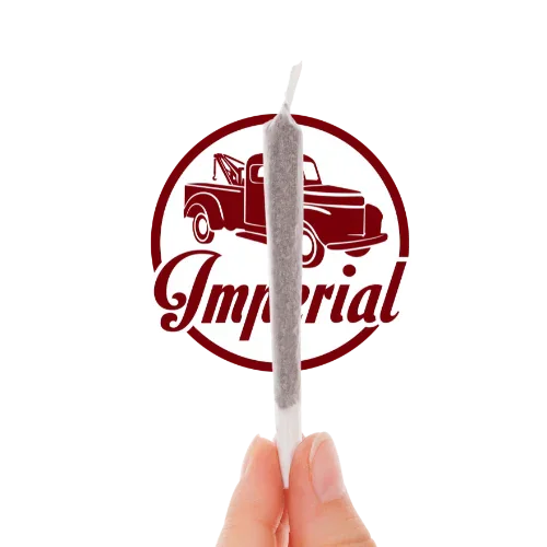 Imperial NYC Pre-Rolled Cone Joints - House Blend - 3 Pack product thumbnail 2
