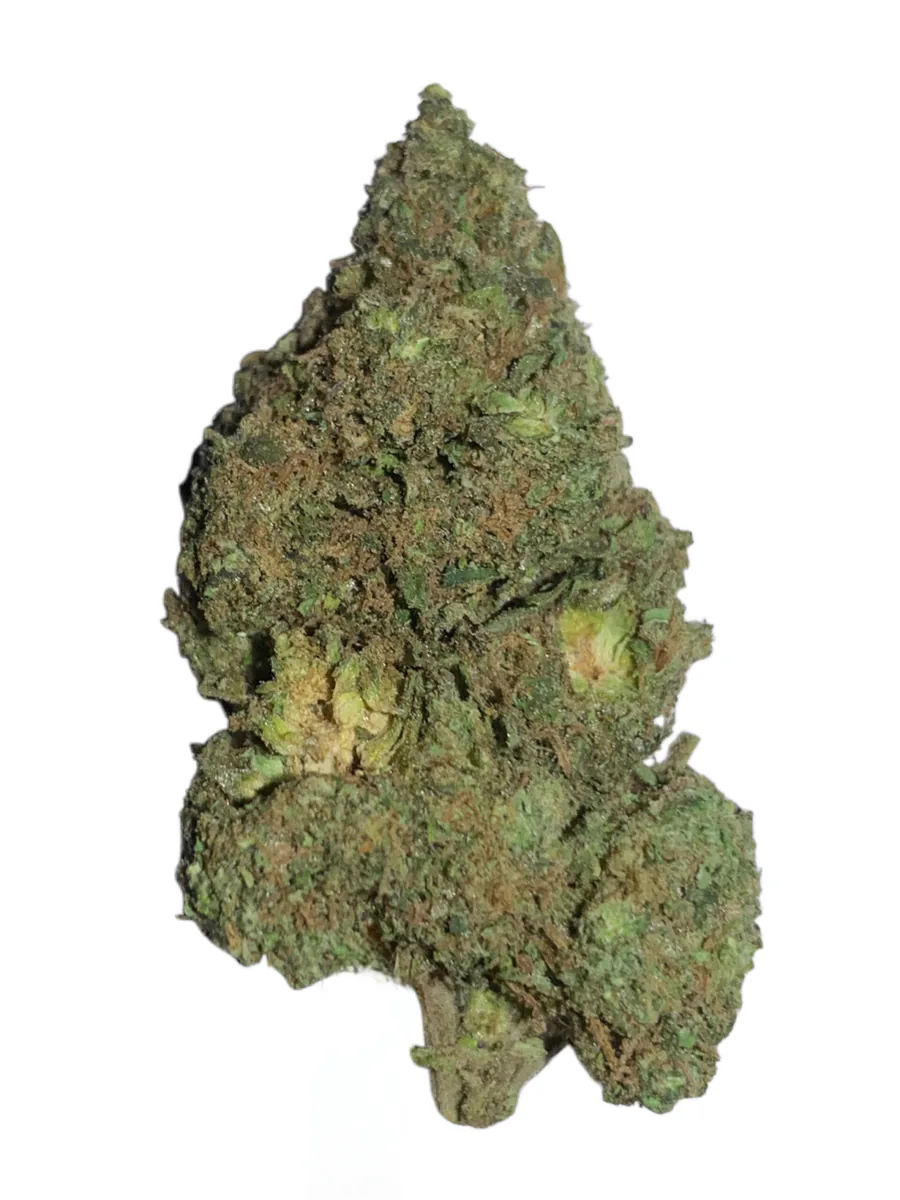 Lemon Cherry Gelato (Gold)