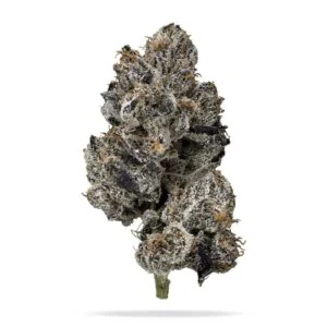 Pink Runtz product image